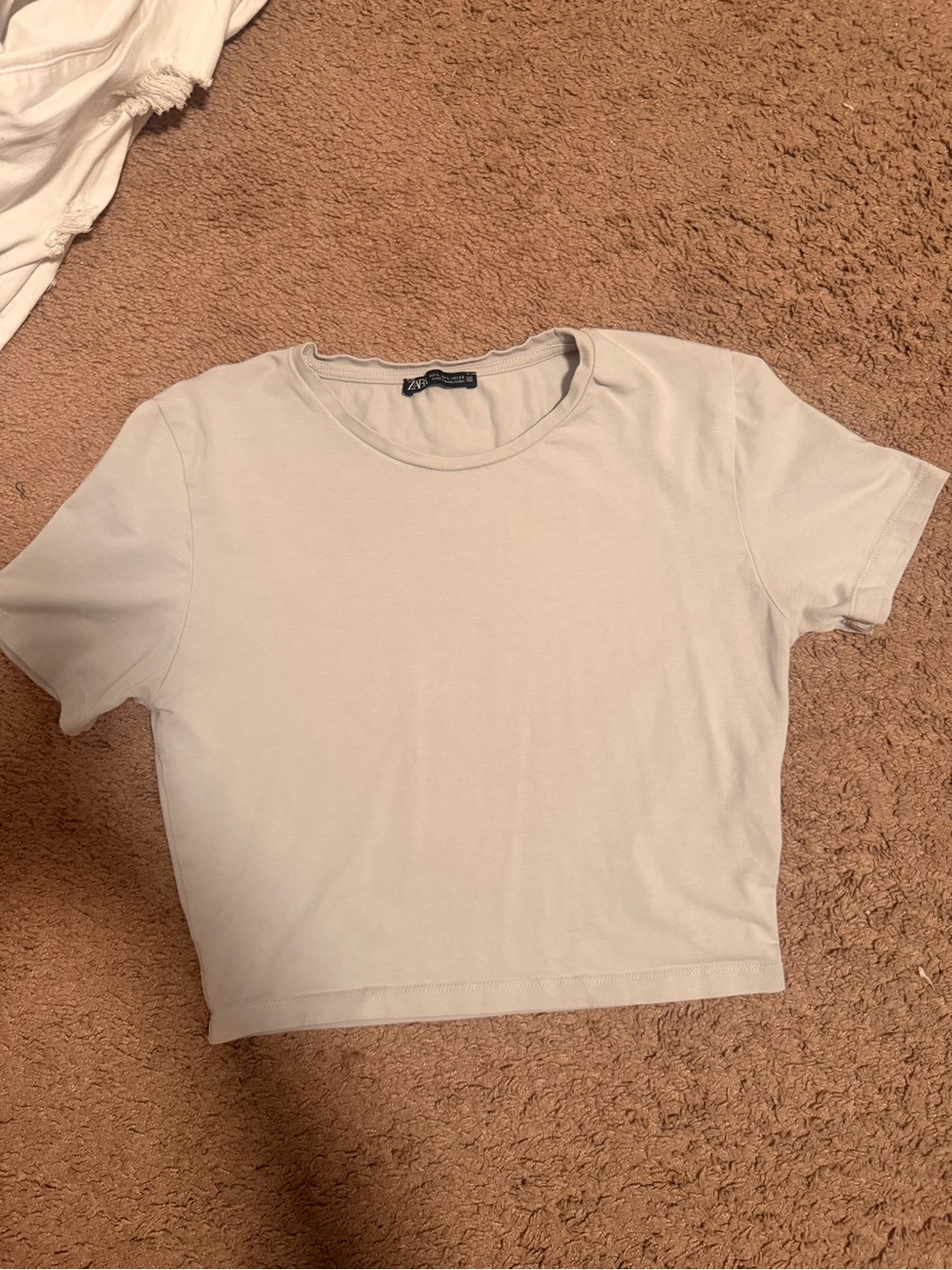 Zara Light Beige Cropped Crewneck Tee